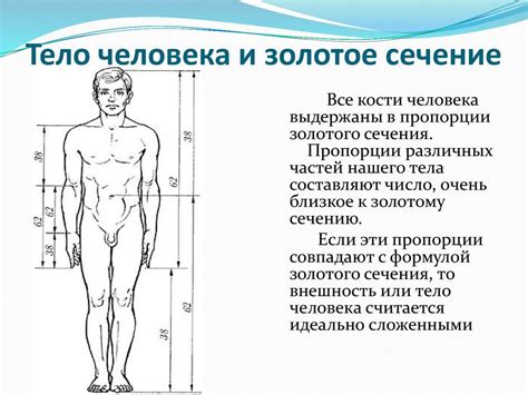 Последовательность Фибоначчи в техническом анализе. Урок 5 — CryptoReLaX