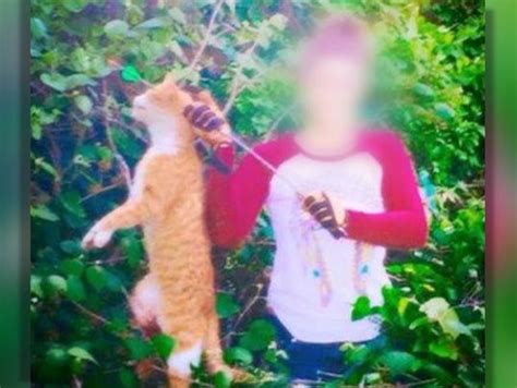 Veterinarian under investigation for killing cat with arrow