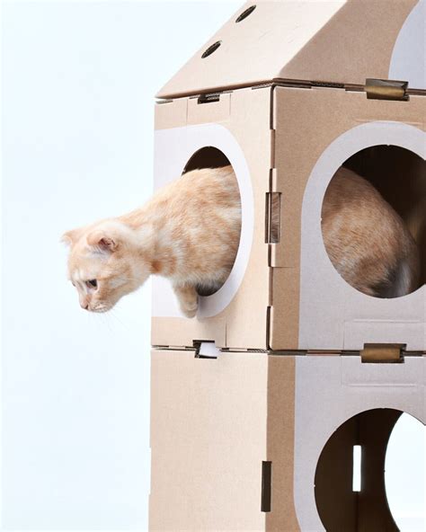 Домик Для Кота Из Картонной Коробки - COLLECTION-DESIGN.RU