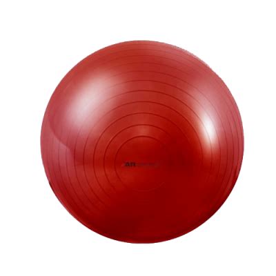 Купить Мяч гимнастический 55 см., CLASSIC, Armedical, GM-55 в Минске от ...