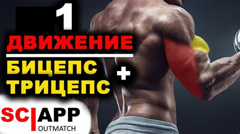 Новое Упражнение - Бицепс и Трицепс Одним Движением - Вариант Для Дома ...