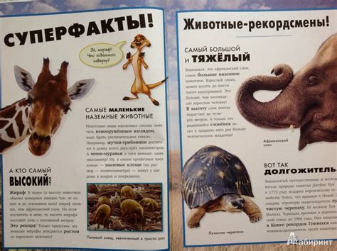 Книга: Животные. Удивительная энциклопедия - . Купить книгу, читать ...