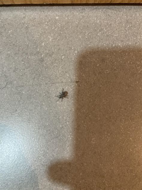 Found inside the building, outside the apartment, with a few of his ...