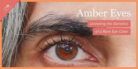 Amber Eyes: Unveiling the Genetics of a Rare Eye Color - Debby Burk Optical