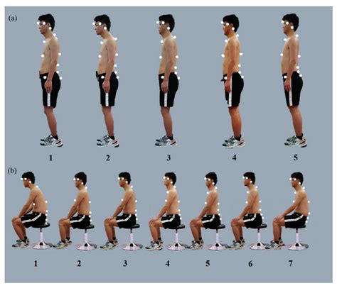 Rehabilitation Practitioners’ Perceptions of Optimal Sitting and