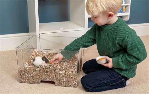 Diy Gerbil Habitat Offers UK | www.pinnaxis.com