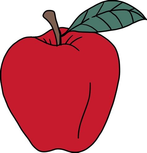 drawing  apple fruit apple fruit  doodle simple style cute