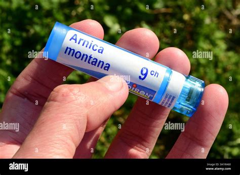 photo illustration  homeopathy dose arnica montana