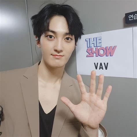 pin su vav