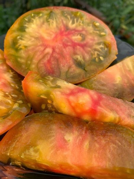 Томат Чёрный Ананас (Ananas Noire) Экзотический сорт, выведенный ...
