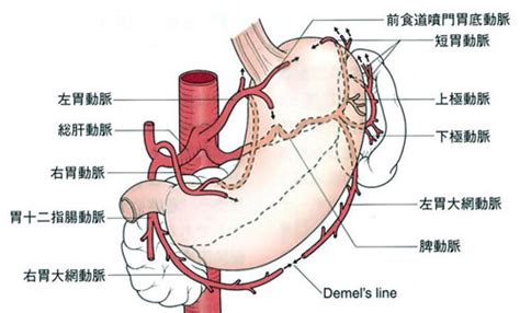 chapter peg  pdn