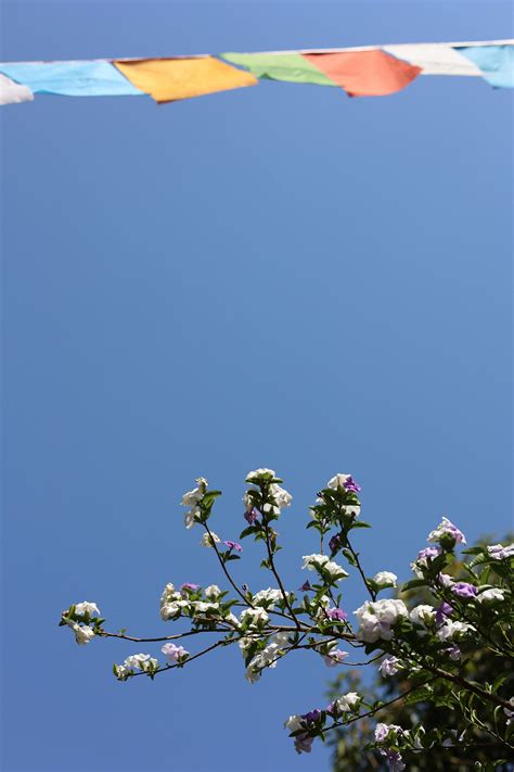 Babe+Of+The+Day Photos, Download The BEST Free Babe+Of+The+Day Stock