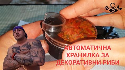 АВТОМАТИЧНА ХРАНИЛКА ЗА ДЕКОРАТИВНИ РИБИ а.С.м - YouTube