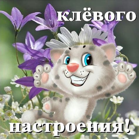 Веселые открытки для тебя | Postkarten, Karten, Hintergrundbilder
