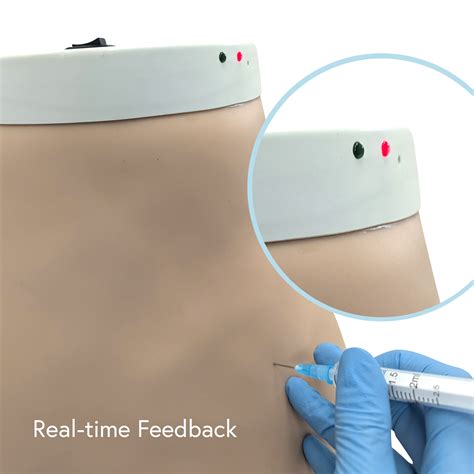 Anatomy Lab - Buttock Intramuscular Injection Model
