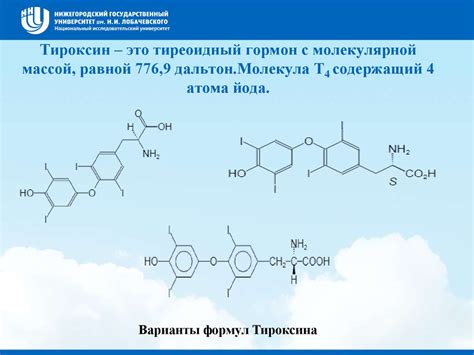 Гормоны щитовидной железы - презентация онлайн