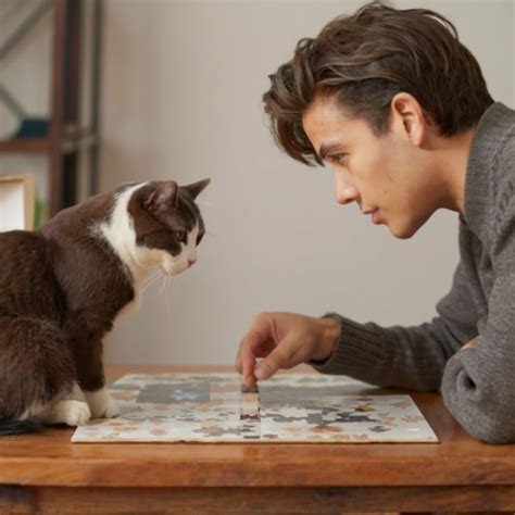 Cryptoquip answer for today is finally here for puzzle lovers 28