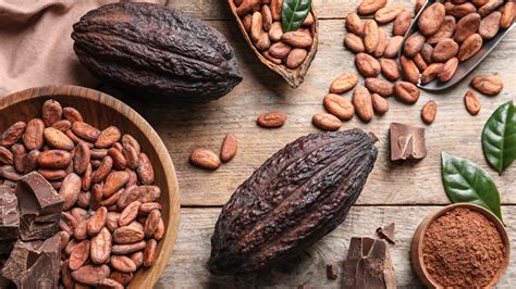 Cacao Vs. Cocoa: What Makes Them Different?