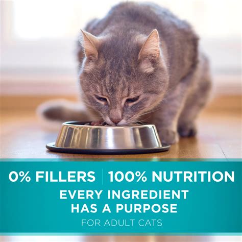 Purina ONE Urinary Tract Health Formula Adult Dry Cat Food – Sleek Markets