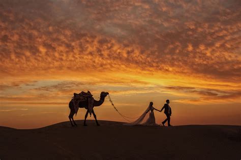 50 лучших свадебных фотографий года по версии Junebug Weddings