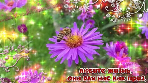 Любите жизнь такой, какая есть! - YouTube