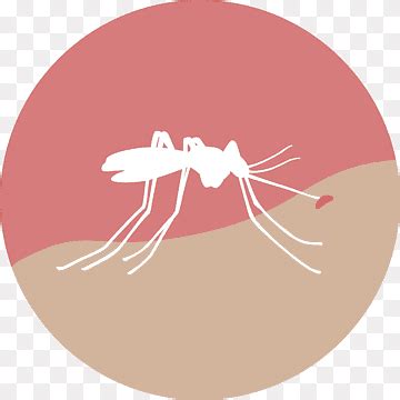 зика png | PNGWing