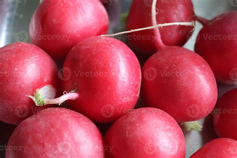 Bunch of radishes. Freshly harvested, purple colored radishes. Growing