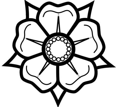 basic flower drawing  paintingvalleycom explore collection