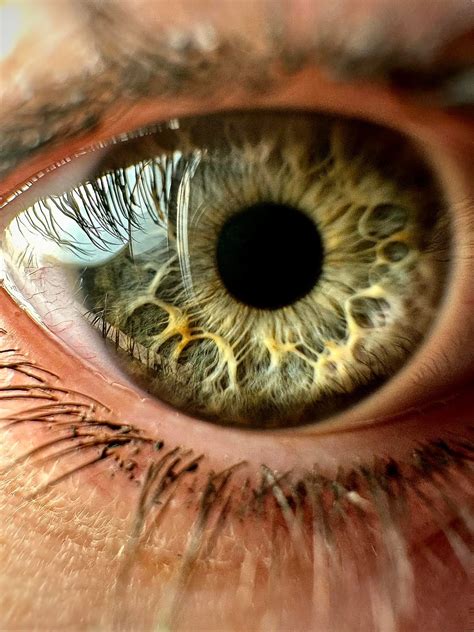 Green eyes with yellowish streaks ? : r/eyes