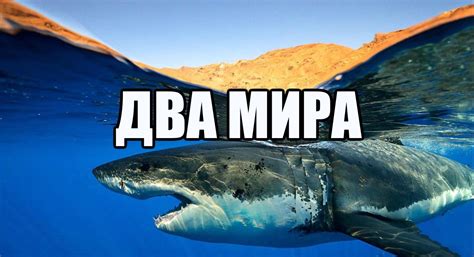 Красивейшие виды подводного и наземного мира - YouTube