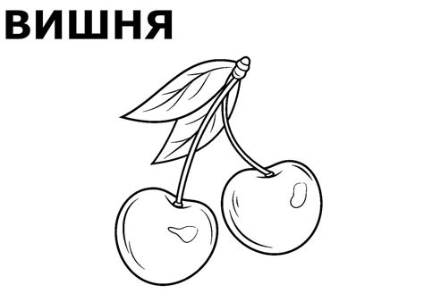 Раскраски Фруктов распечатать или скачать бесплатно в формате PDF.