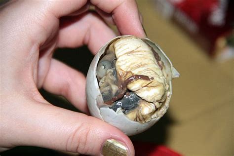 What Does Balut Taste Like? Does Balut Taste Good? | EatDelights
