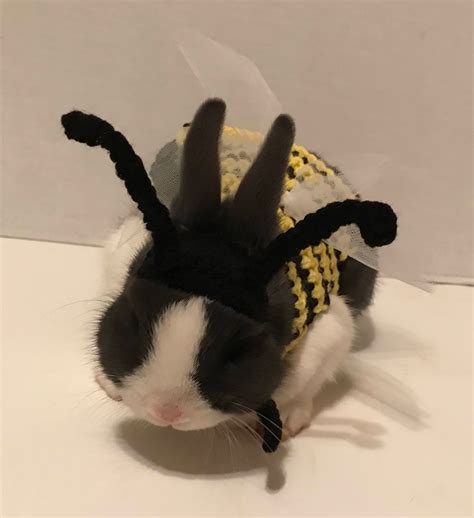 bumble bee outfit 3