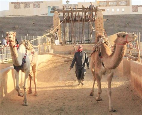 al sawani saudipedia