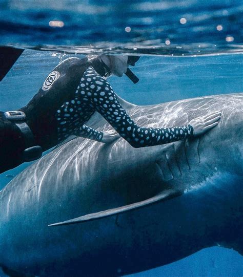 madi ruve | i think it’s shark week :) if you are new here i spent most
