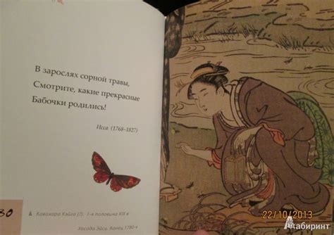 Книга: Бабочки и хризантемы. Японская классическая поэзия IX-XIX веков ...
