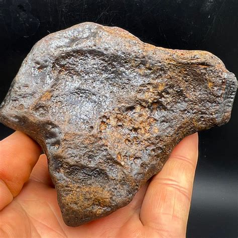 Scientists find stony island rocks contain rare prehistoric fossils 1