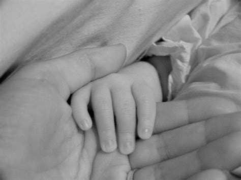 Mother baby hands Photos in .jpg format free and easy download unlimit ...