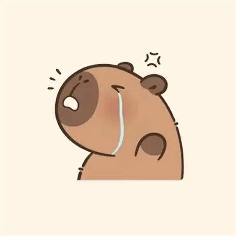 Capybara crying en 2025 | Caras de animales, Dibujos animados bonitos