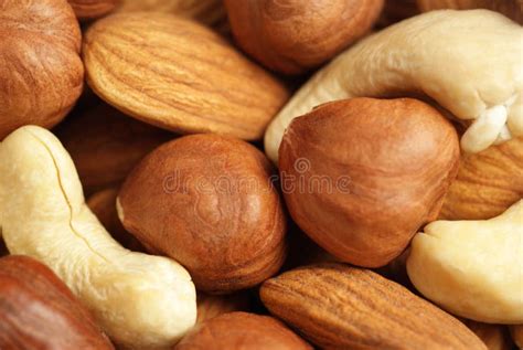 Assorted nuts stock photo. Image of peeled, textured - 16747352