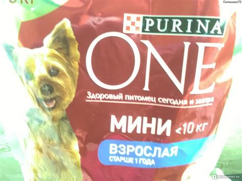 Корм для собак Purina ONE® Моя Собака уже взрослая. Для маленьких собак ...