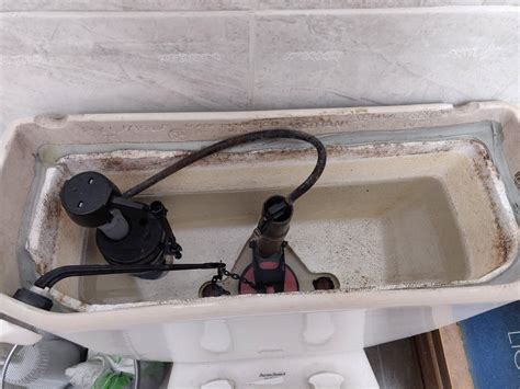 How clean mold off styrofoam toilet tank? : r/HomeImprovement