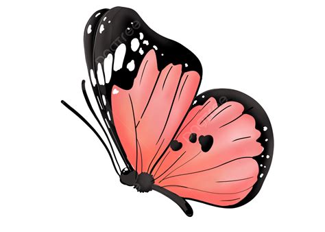 Borboleta Rosa Padrão Voando Insetos De Desenho Animado Ao Lado PNG ...