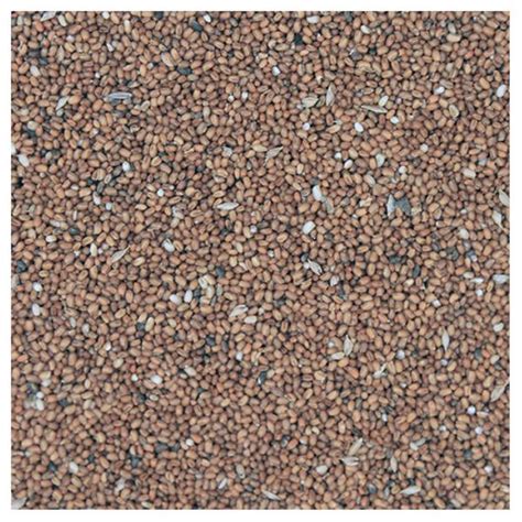 Organic Teff Grains in 25kg from Real Foods