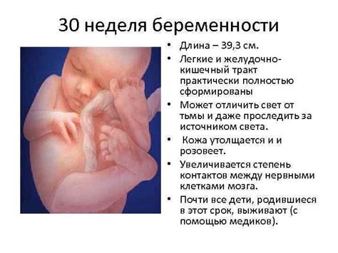 30 неделя беременности: рост, вес, развитие плода