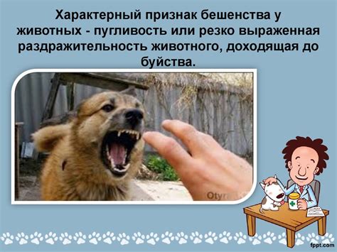 Болезни животных, опасные для человека - презентация онлайн