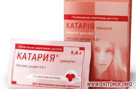 Житомир.info | Катария – быстро избавьтесь от симптомов цистита