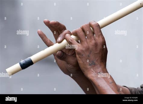 magic flute stock photo alamy