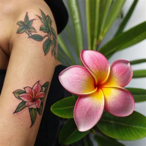 plumeria tattoo meaning symbolism colors  placement
