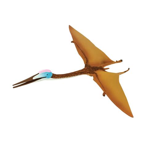 Quetzalcoatlus Dinosaurs Figure Safari Kids Toys | Radar Toys